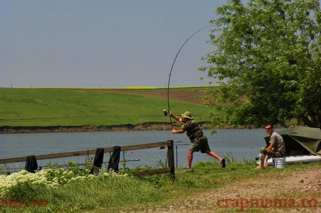 Concurs Party Cup - Sulimanu - 1010460.jpg